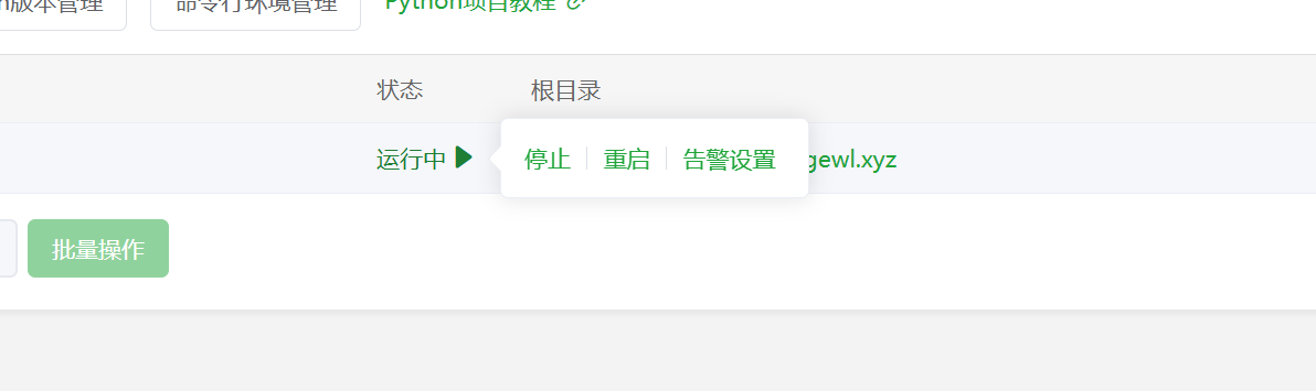 项目启动界面